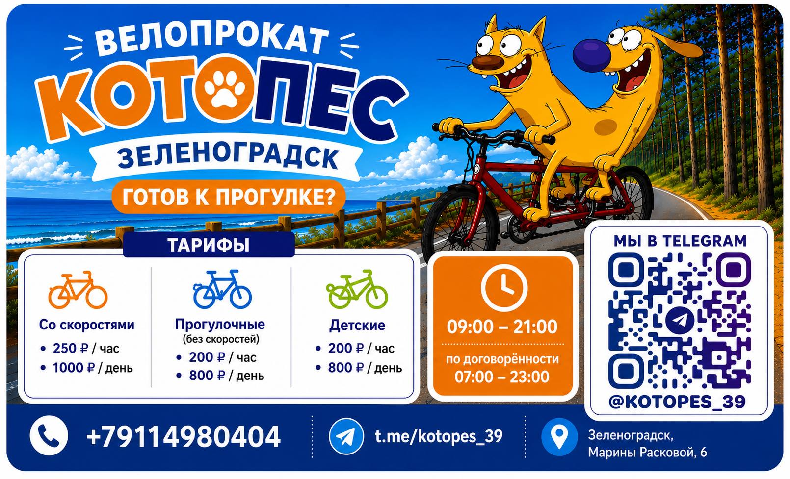 Велопрокат КотоПес